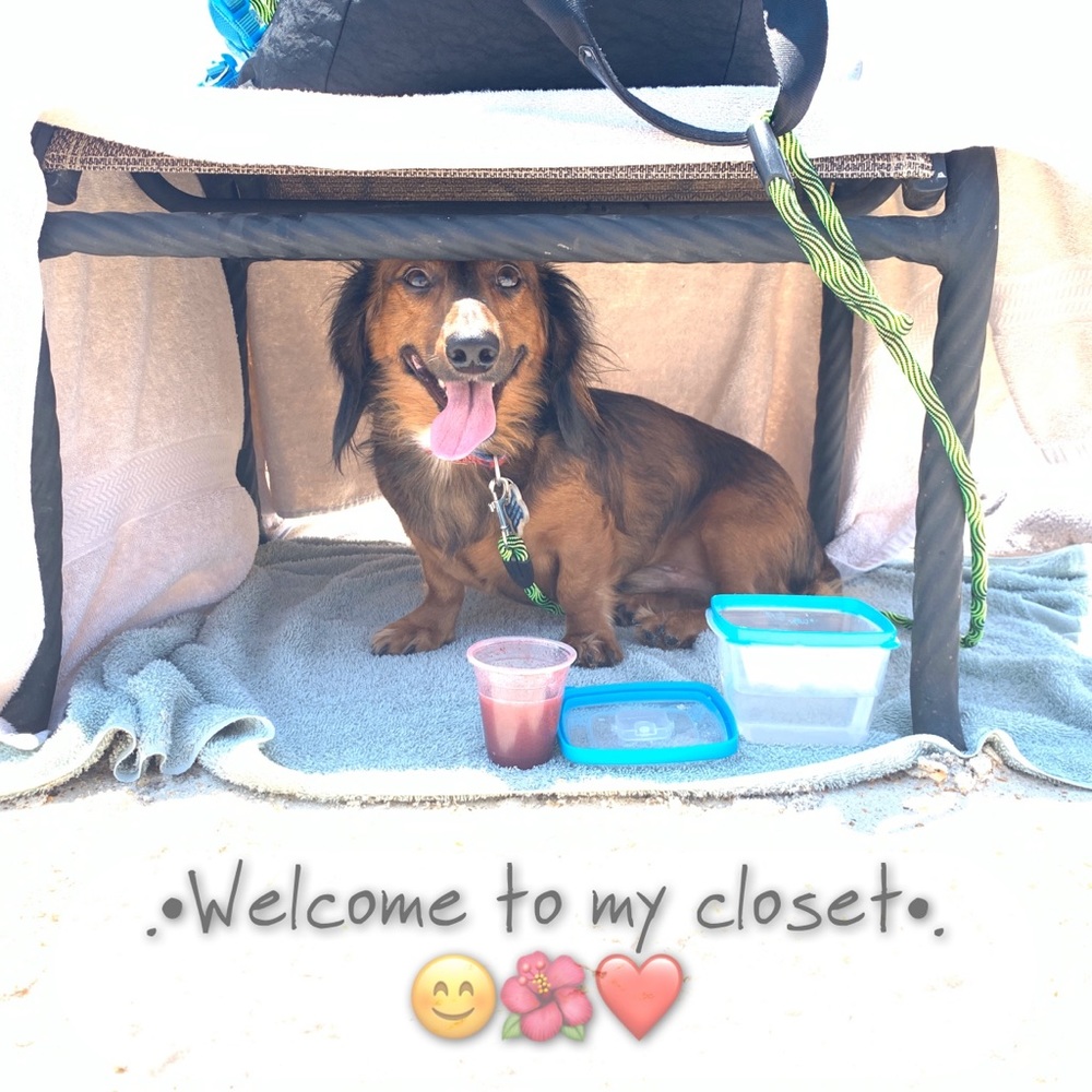 .•WELCOME TO MY CLOSET•.